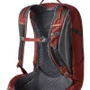 Gregory Citro Backpack Brick Red Online