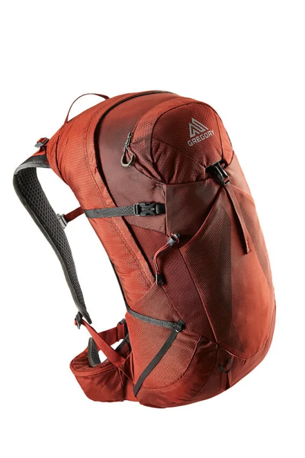 Gregory Citro Backpack Brick Red Clearance