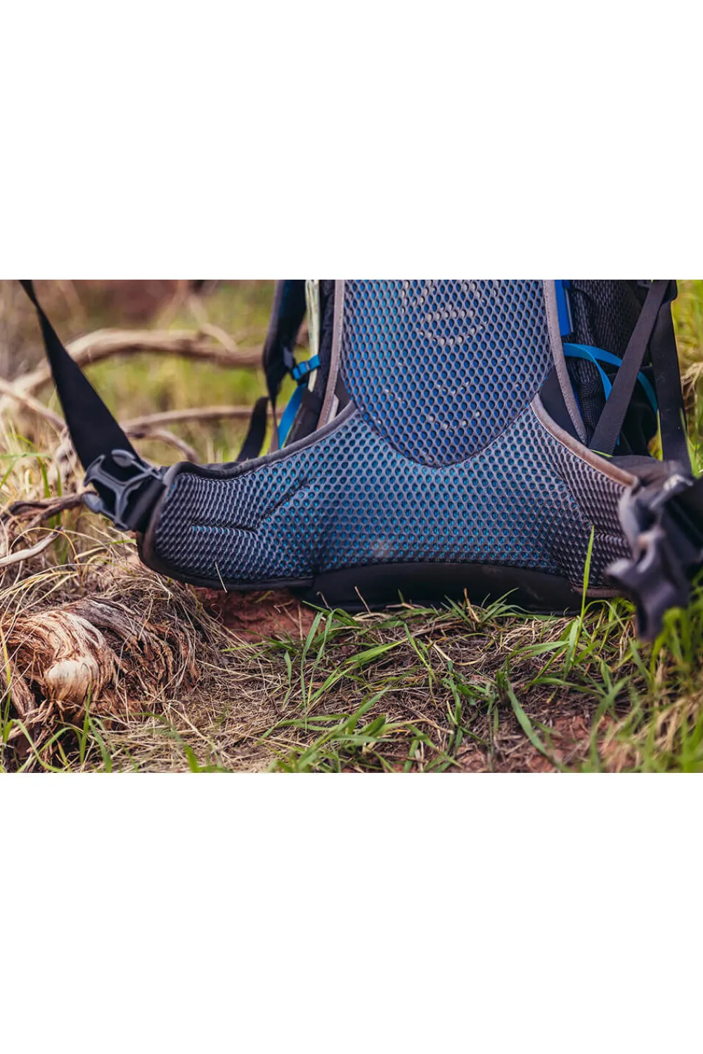 citro_backpack_4-2.webp Gregory Citro Backpack Volt Blue Sale