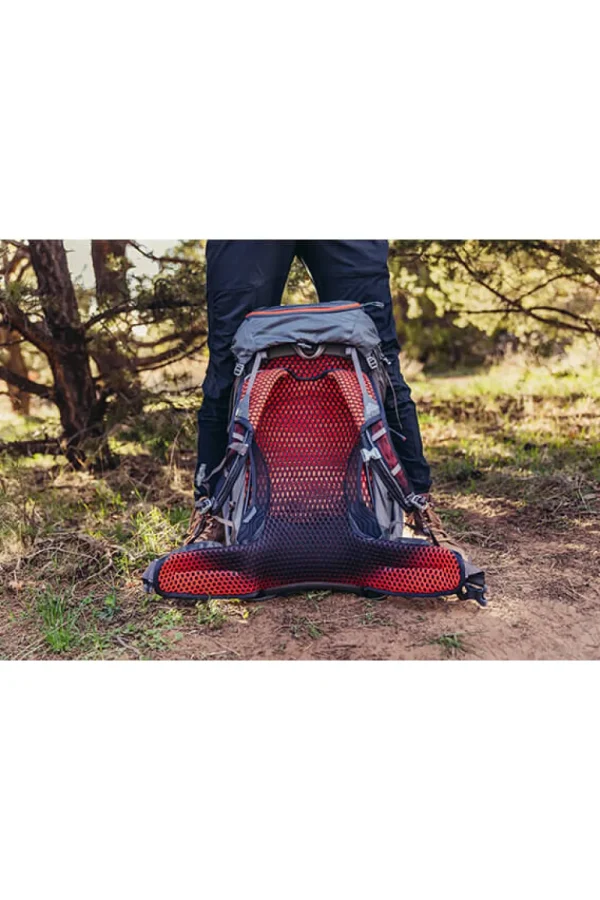 Gregory Facet Backpack Sunset Grey Clearance