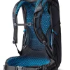 Gregory Focal Backpack Ozone Black Sale