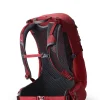 Gregory Jade LT Backpack Ruby Red Discount