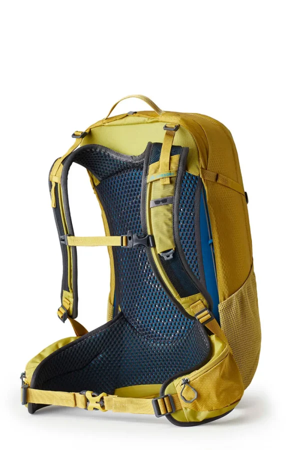 Gregory Juno Backpack Mineral Yellow Clearance
