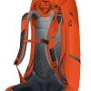 Gregory Paragon Backpack Ferrous Orange Fashion