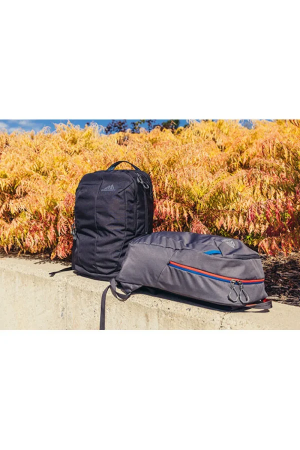 Gregory Retna Backpack 15